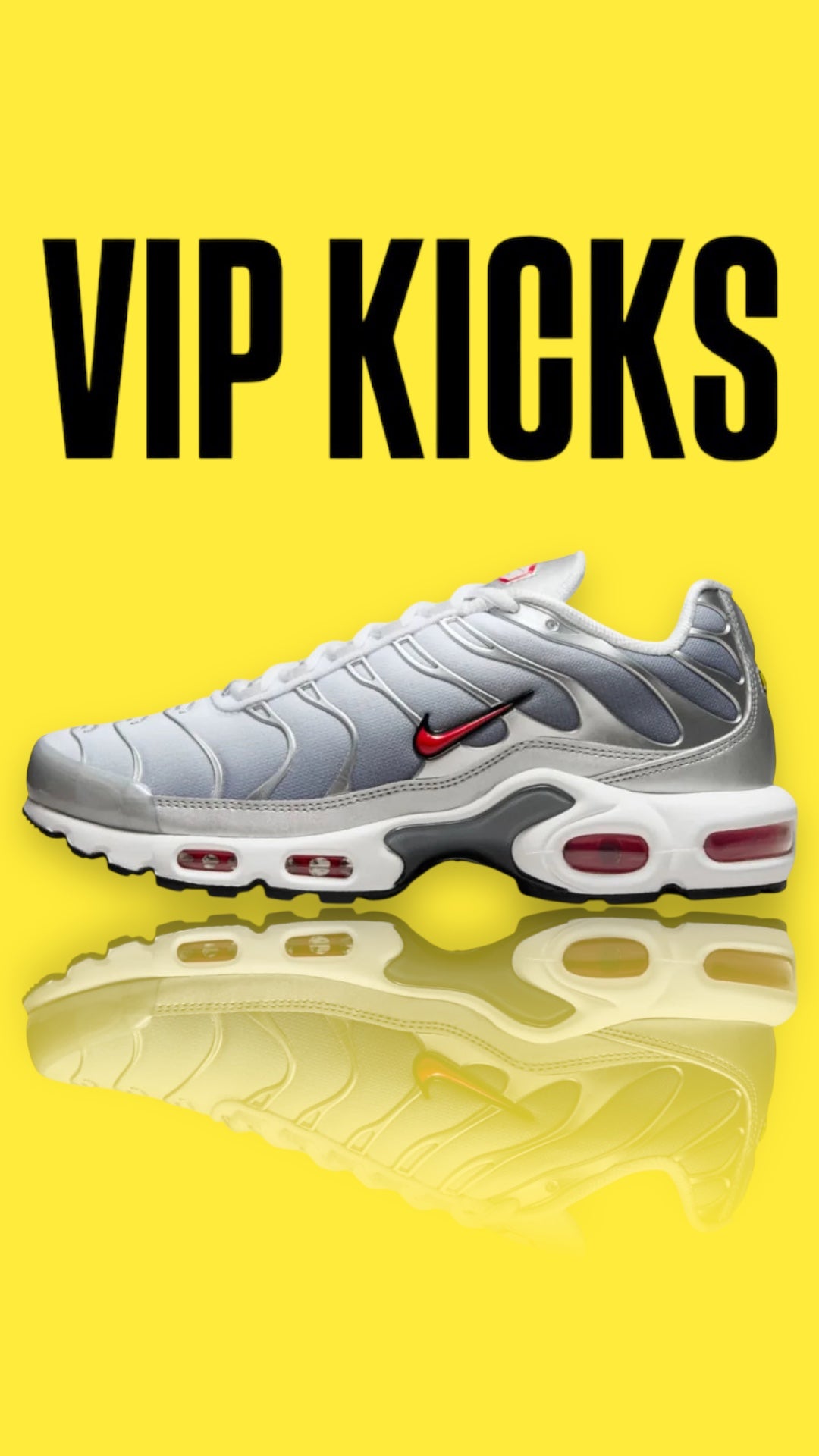 Nike Air Max Plus TN Silver Bullet