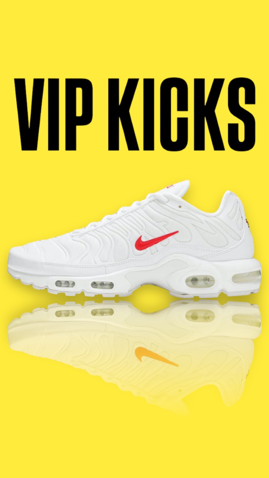 Nike Tn Air Max Plus x Supreme