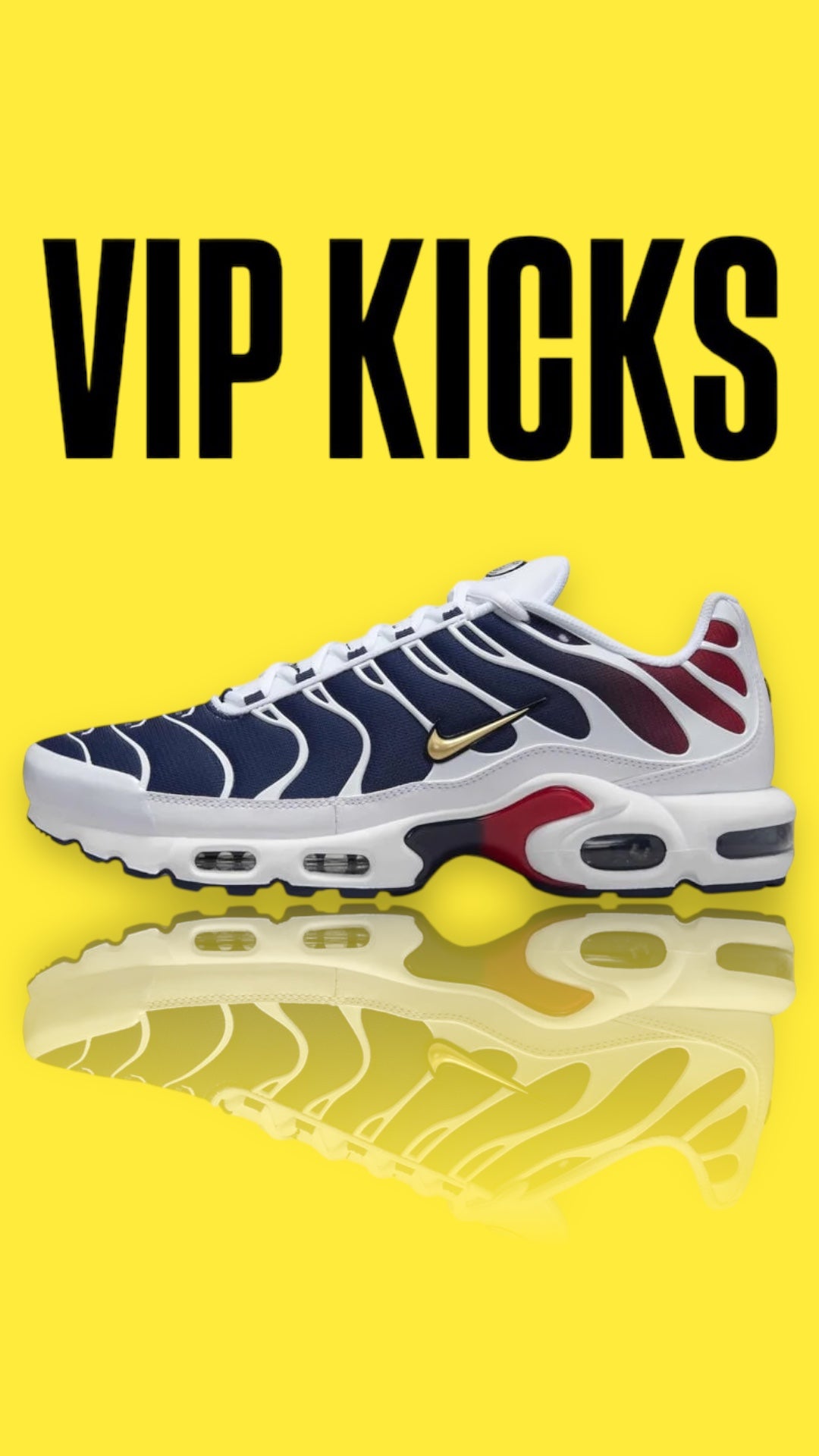 Nike Air Max Plus TN - Paris Saint Germain