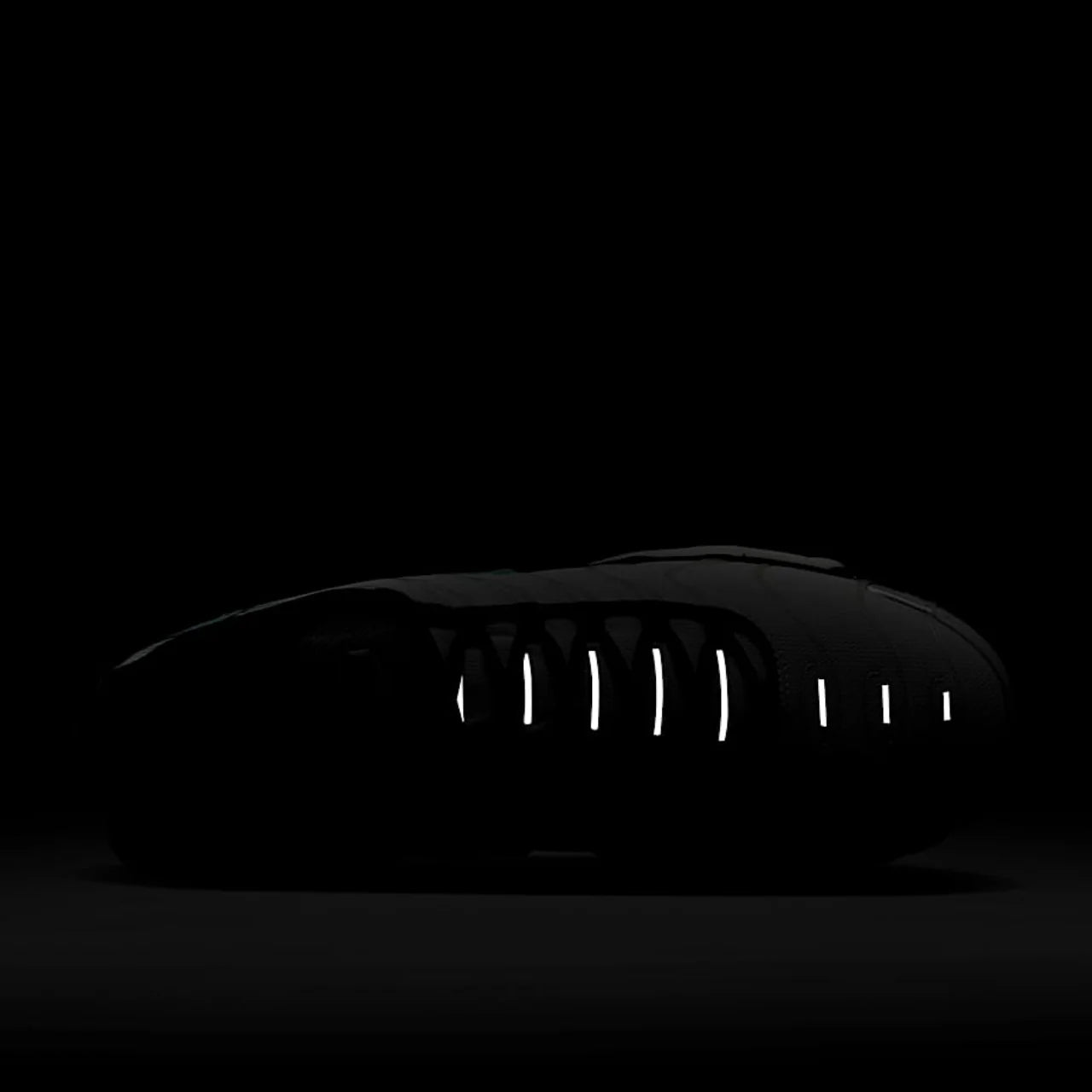 Nike Air Max Plus TN Mercurial Vapor