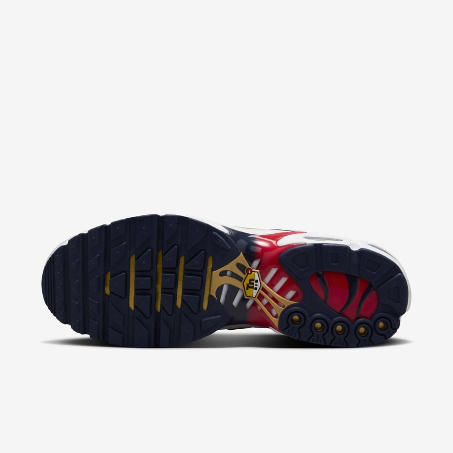 Nike Air Max Plus TN - Paris Saint Germain