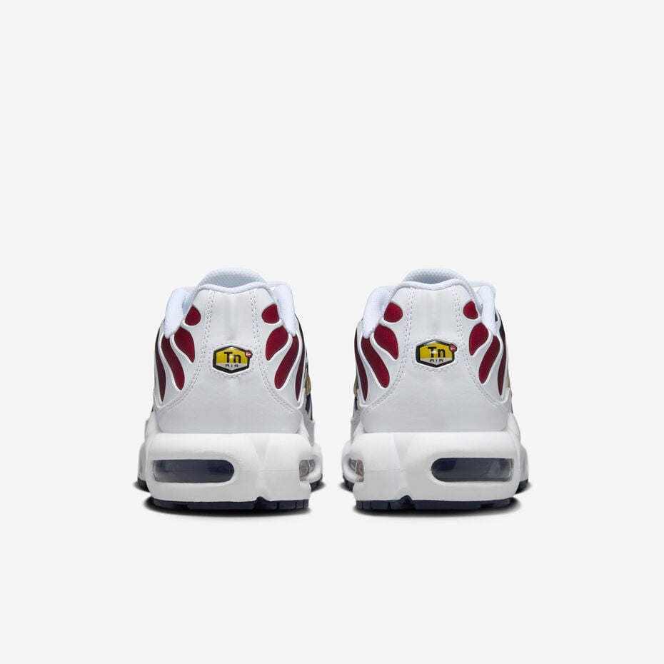 Nike Air Max Plus TN - Paris Saint Germain