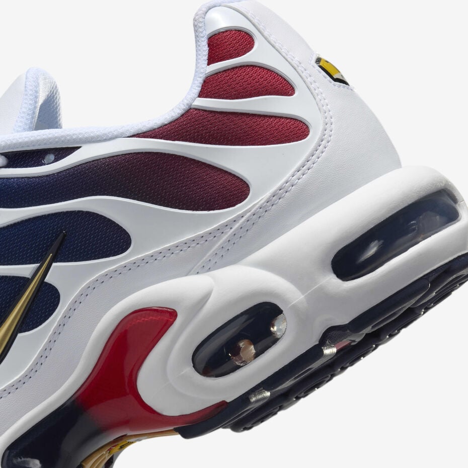 Nike Air Max Plus TN - Paris Saint Germain