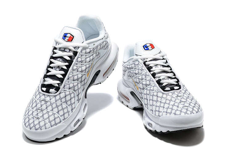Nike Air Max Plus TN – France