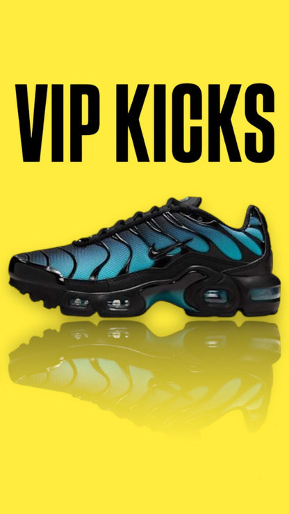 Nike Tn Air Max Plus Grey/Black Aqua