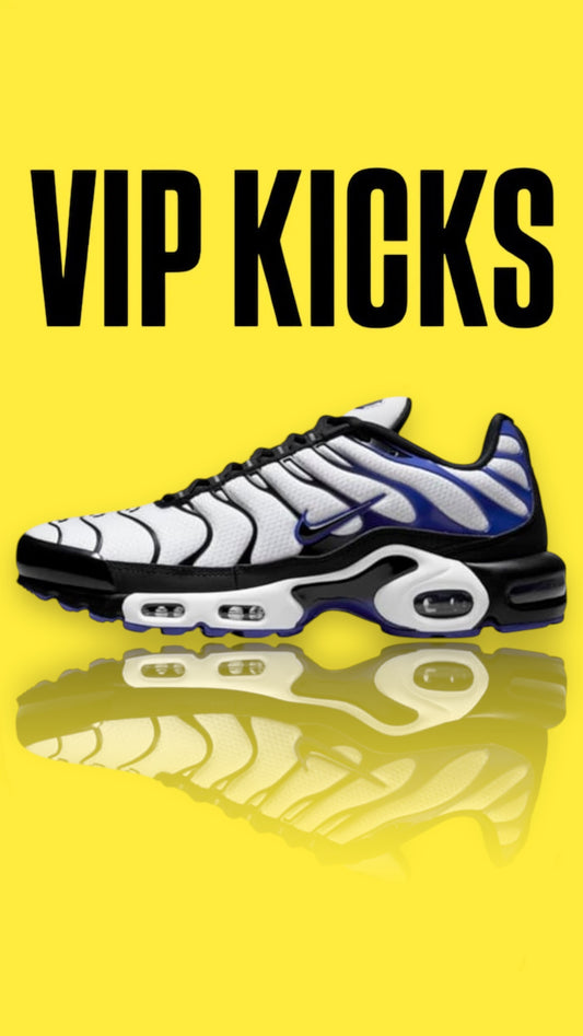 Nike Tn Air Max Plus Persian Violet White