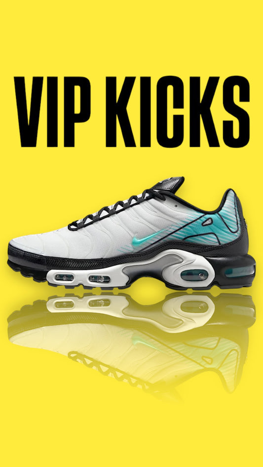 Nike Air Max Plus TN Mercurial Vapor