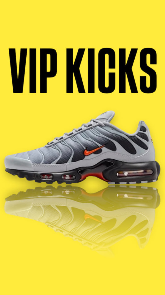 Nike Air Max Plus TN WOLF