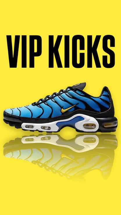 Nike Tn Air Max Plus Hyper Blue