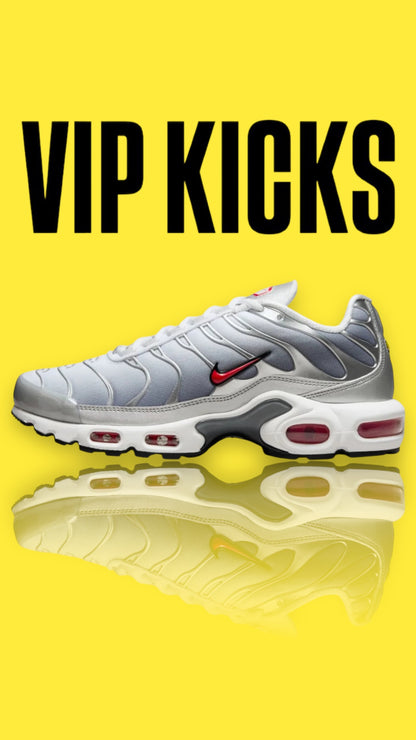 Nike Air Max Plus TN Silver Bullet