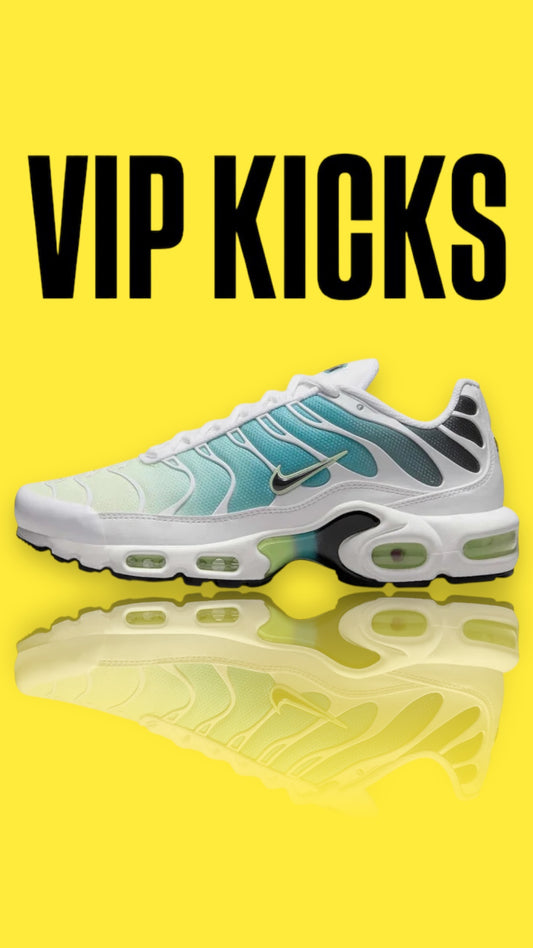Nike Air Max Plus TN Cactus
