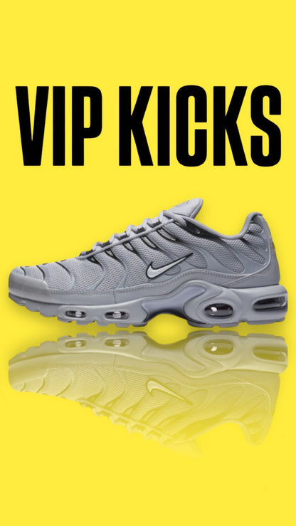 Nike Tn Air Max Plus Wolf Grey
