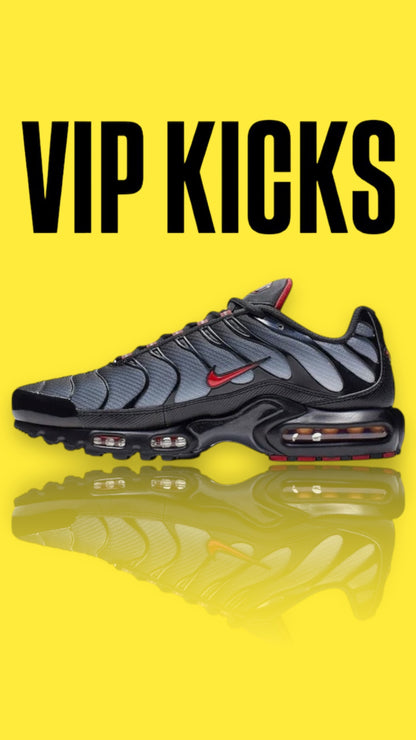 Nike Tn Air Max plus Grey Gradient red