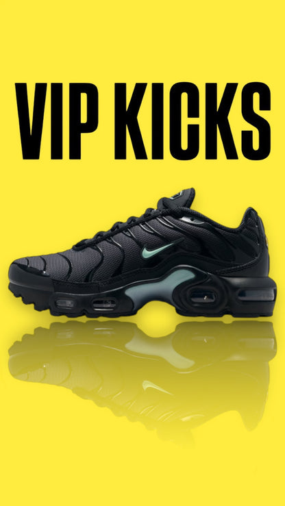 Nike Tn Air Max Plus Black & Mint Foam