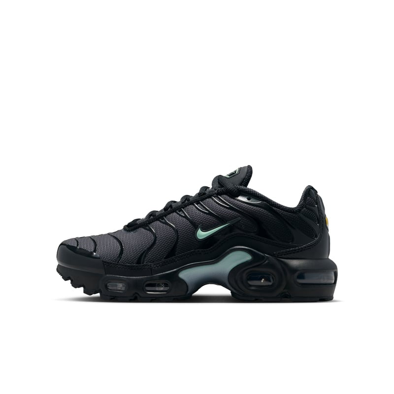 Nike Tn Air Max Plus Black & Mint Foam