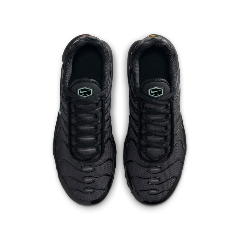 Nike Tn Air Max Plus Black & Mint Foam