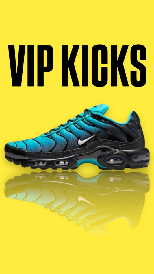 Nike Tn Air Max Plus Light Retro Blue