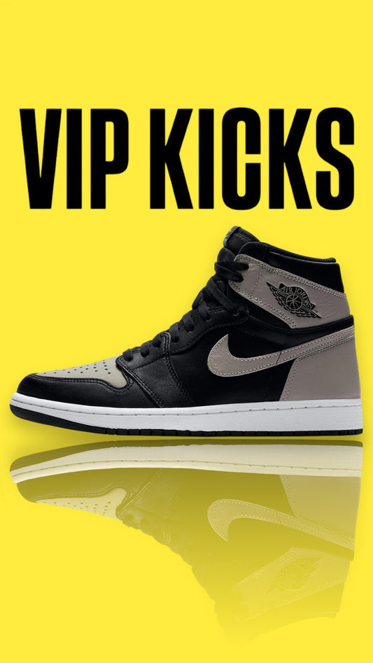 Air Jordan 1 Retro High Shadow