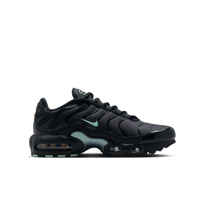 Nike Tn Air Max Plus Black & Mint Foam