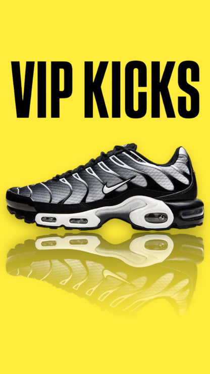 Nike Air Max Plus TN - Black & Silver