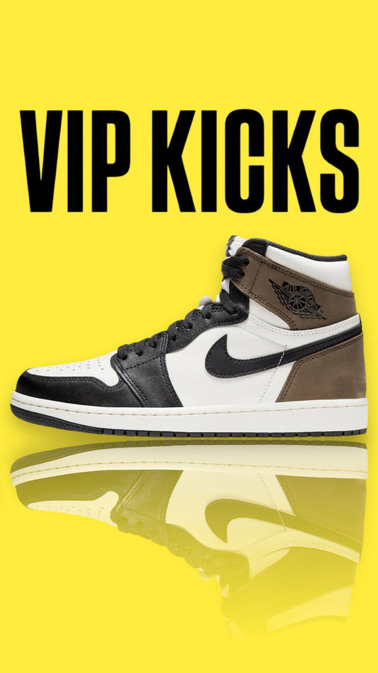 Air Jordan 1 Retro High OG Dark Mocha