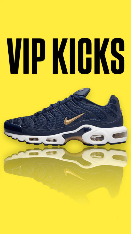 Nike Tn Air Max Plus FFF