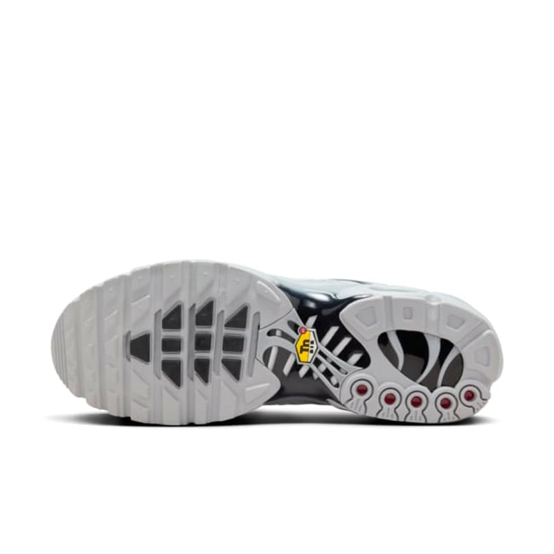 Nike Tn Air Max Plus Wolf Grey