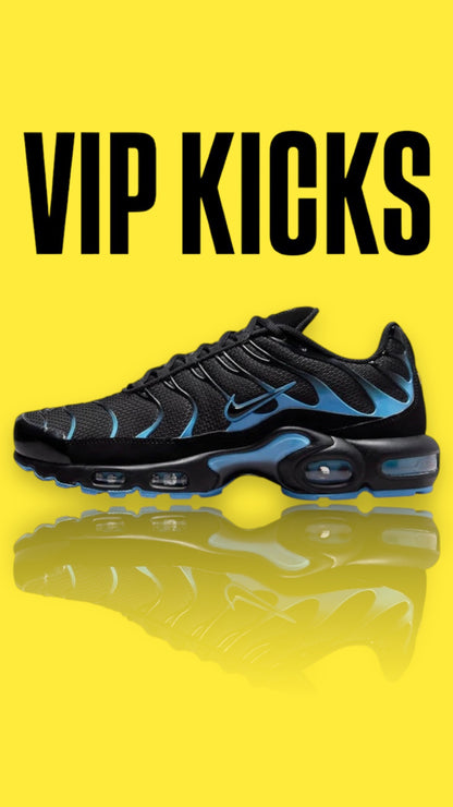 Nike Air Max Plus TN University Blue