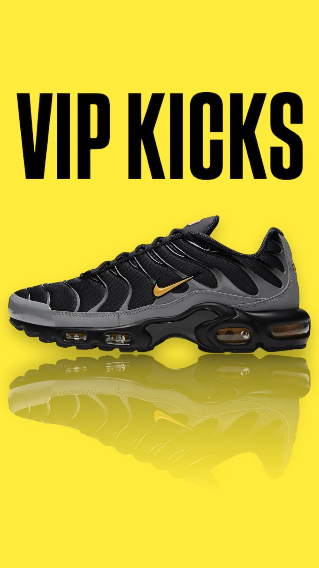 Nike Air Max Plus TN Batman