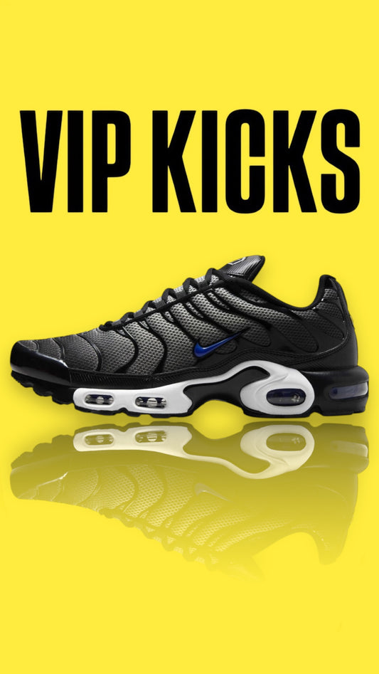 Nike Tn Air Max Plus Midnight Grey