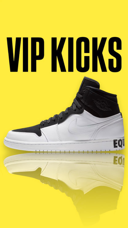 Air Jordan "Equality"