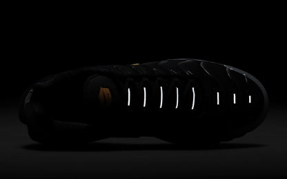 Nike Air Max Plus TN Batman